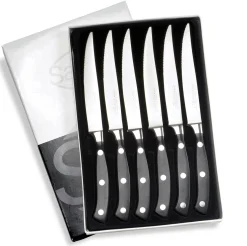 CONFEZIONE COSTATA LAMA SEGHETTATA 6 PZ.