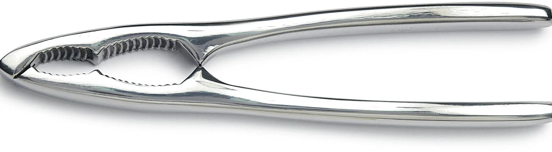 SCHIACCIANOCI INOX PES.